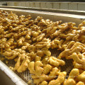 Nueva exportación de cultivos Buena calidad Chinese Fresh Ginger